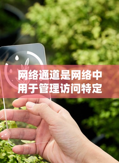 网络通道是网络中用于管理访问特定网站或应用的一部分，确保用户能够安全、有效地访问所需的资源。以下是一个详细的网络通道使用指南，帮助您系统地操作和管理网络通道