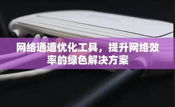 网络通道优化工具，提升网络效率的绿色解决方案