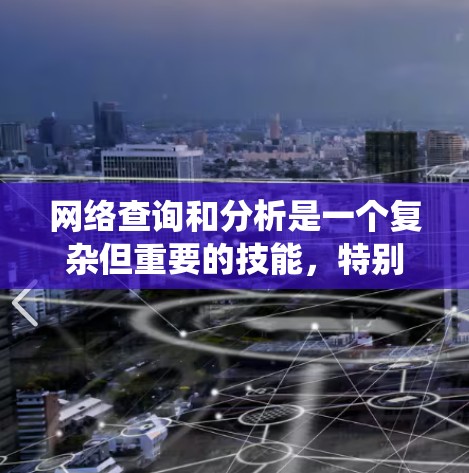 网络查询和分析是一个复杂但重要的技能，特别是对于学习网络管理或进行网络优化有帮助。以下是一个系统化的指南，帮助你从基础开始学习，并逐步提升技能