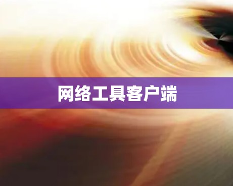 网络工具客户端