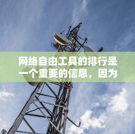 网络自由工具的排行是一个重要的信息，因为它帮助用户了解不同工具的适用性和优势。以下是一个常见的网络工具排行，主要分为防御类、管理类、分析类、安全教育类和社区工具等几个大类
