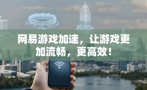 网易游戏加速，让游戏更加流畅，更高效！