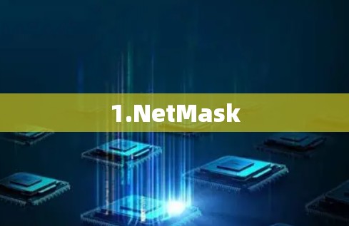 1.NetMask