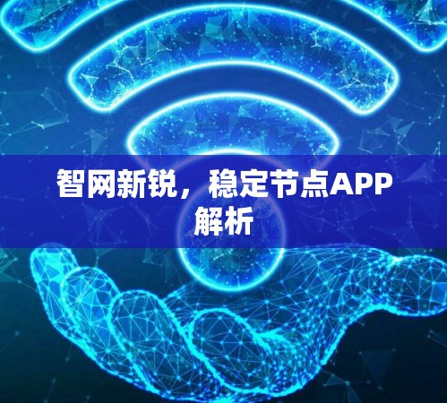 智网新锐，稳定节点APP解析