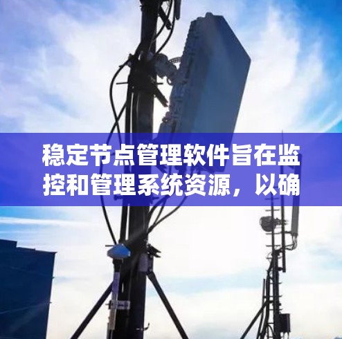 稳定节点管理软件旨在监控和管理系统资源，以确保节点的稳定运行。以下是一些常用的稳定节点管理软件及其功能