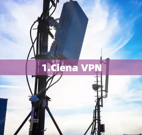 1.Ciena VPN 1.Ciena VPN