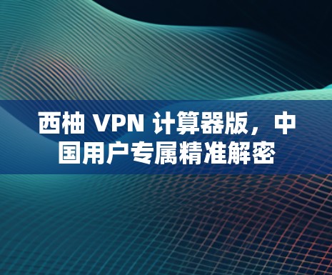 西柚 VPN 计算器版，中国用户专属精准解密