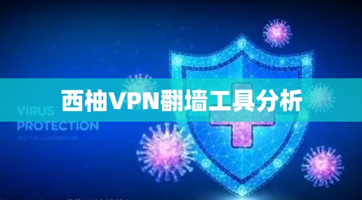 西柚VPN翻墙工具分析 西柚VPN翻墙工具分析