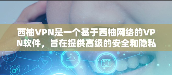 西柚VPN是一个基于西柚网络的VPN软件，旨在提供高级的安全和隐私服务。以下是关于西柚VPN的详细分析