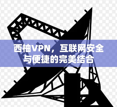 西柚VPN，互联网安全与便捷的完美结合