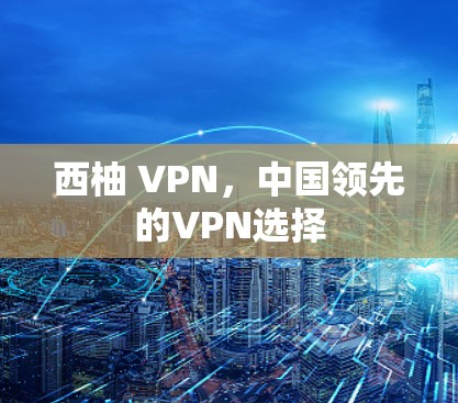 西柚 VPN，中国领先的VPN选择