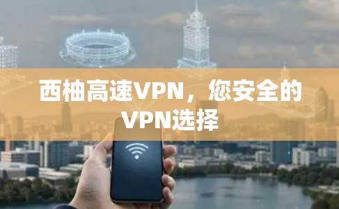 西柚高速VPN，您安全的VPN选择