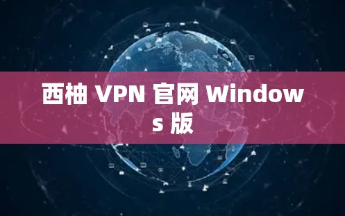 西柚 VPN 官网 Windows 版