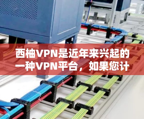 西柚VPN是近年来兴起的一种VPN平台，如果您计划在机场节点上安装VPN软件，可以选择一些知名的VPN平台。以下是西柚VPN在机场节点上的推荐