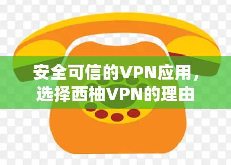 安全可信的VPN应用，选择西柚VPN的理由