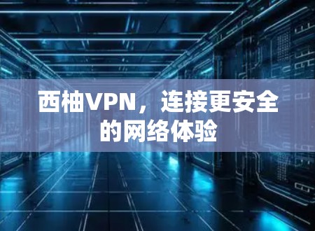 西柚VPN，连接更安全的网络体验