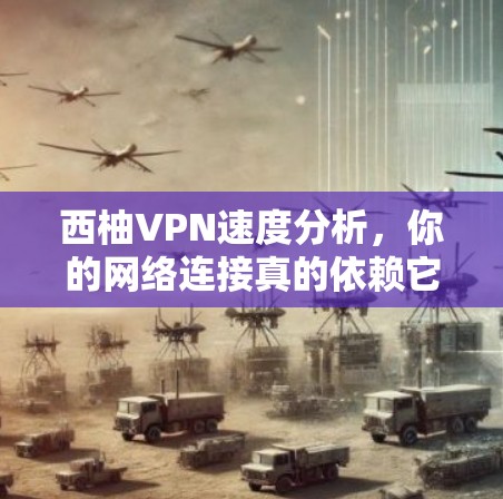 西柚VPN速度分析，你的网络连接真的依赖它吗？