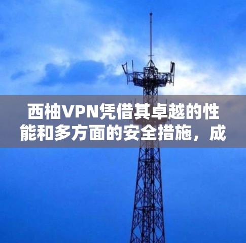 西柚VPN凭借其卓越的性能和多方面的安全措施，成为当前VPN领域的重要选择。以下是对其性能的全面分析
