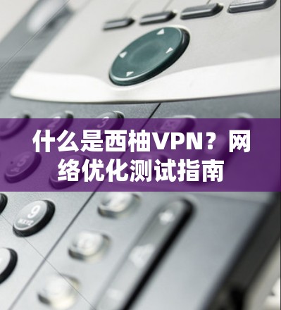 什么是西柚VPN?网络优化测试指南 什么是西柚VPN?网络优化测试指南
