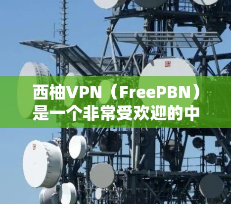 西柚VPN（FreePBN）是一个非常受欢迎的中国地区 VPN 网站，提供多种VPN服务，包括本地化版和非本地化版。它的目标是为用户提供安全、可靠和容易使用的VPN服务，以解决他们在网络环境中的问题
