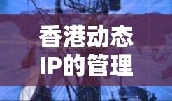 香港动态IP的管理流程 香港动态IP的管理流程