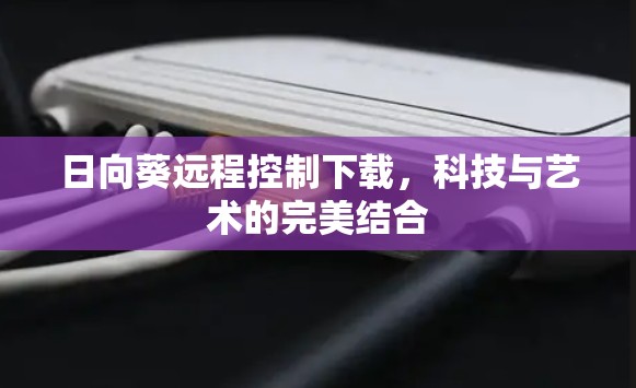 日向葵远程控制下载，科技与艺术的完美结合