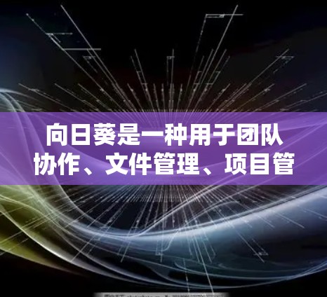 向日葵是一种用于团队协作、文件管理、项目管理的在线工具。它支持远程连接，使用户可以在不同设备之间协作和管理文件。以下是向日葵远程连接的步骤