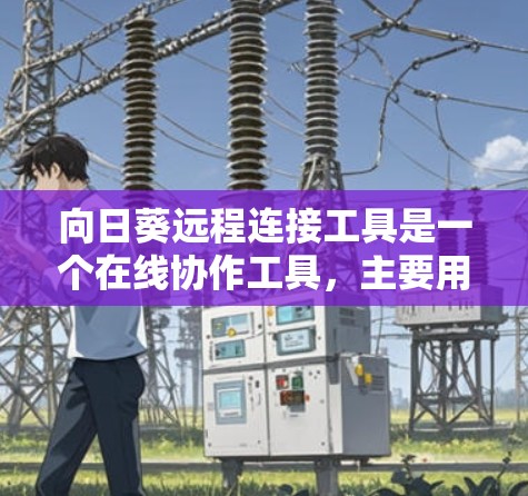 向日葵远程连接工具是一个在线协作工具，主要用于文件管理、文档协作和项目管理。以下是一步步的指南，帮助你使用向日葵远程连接工具