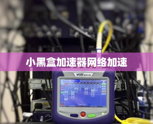 小黑盒加速器网络加速