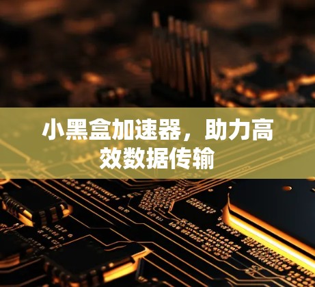 小黑盒加速器，助力高效数据传输