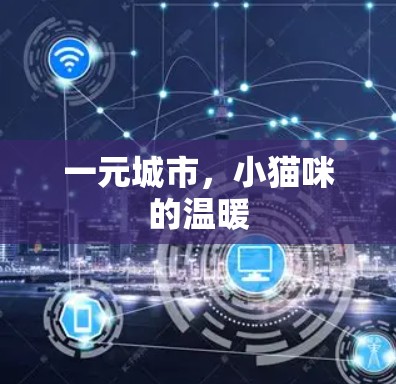 一元城市，小猫咪的温暖