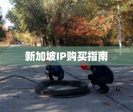 新加坡IP购买指南 新加坡IP购买指南
