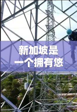 新加坡是一个拥有悠久历史和多元文化的国家，其网络环境和网络服务质量在国际上也是有一定认可的。然而，网络安全和网络环境管理是需要关注的。新加坡的网络服务管理遵循相关法律法规，旨在保障网络安全
