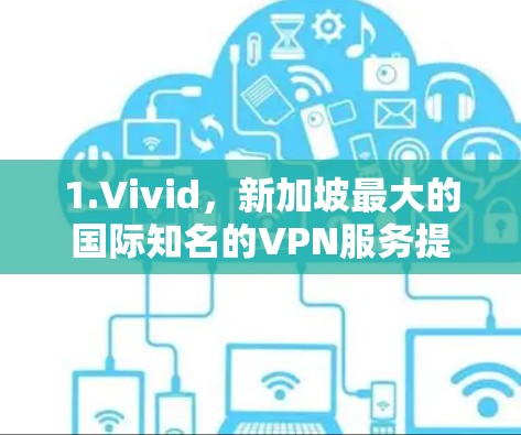 1.Vivid，新加坡最大的国际知名的VPN服务提供商之一，提供免费、安全的VPN服务