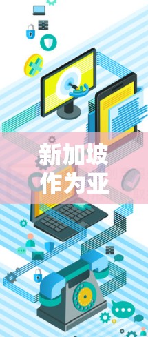 新加坡作为亚洲的金融中心，提供了丰富的VPN服务，满足不同用户的需求。以下是对新加坡VPN平台的详细介绍