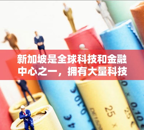 新加坡是全球科技和金融中心之一,拥有大量科技企业、金融机构、医疗机构和其他专业机构,这些机构对VPN服务需求非常大。新加坡拥有大量的用户和企业,包括科技公司、金融机构、医疗机构、教育机构、艺术机构等 新加坡是全球科技和金融中心之一,拥有大量科技企业、金融机构、医疗机构和其他专业机构,这些机构对VPN服务需求非常大。新加坡拥有大量的用户和企业,包括科技公司、金融机构、医疗机构、教育机构、艺术机构等