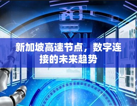 新加坡高速节点，数字连接的未来趋势