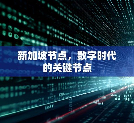 新加坡节点，数字时代的关键节点