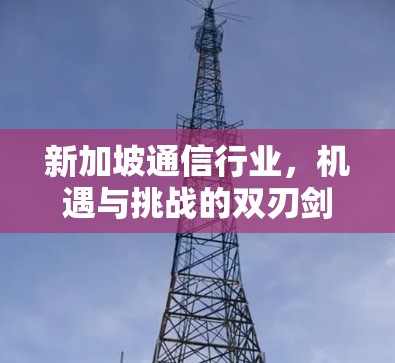 新加坡通信行业，机遇与挑战的双刃剑