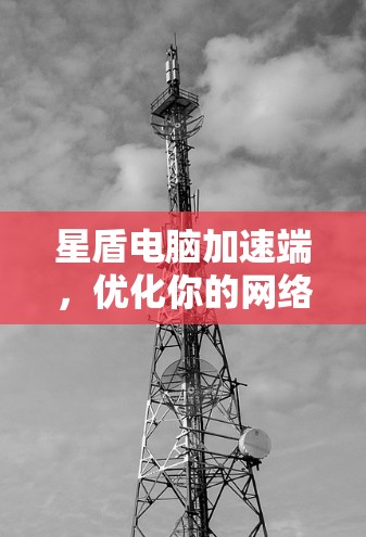 星盾电脑加速端，优化你的网络连接，提升效率