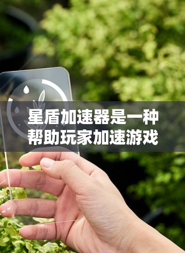 星盾加速器是一种帮助玩家加速游戏的工具，通过优化游戏性能，提升游戏体验。以下是详细的步骤和建议