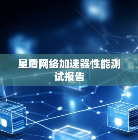 星盾网络加速器性能测试报告 星盾网络加速器性能测试报告