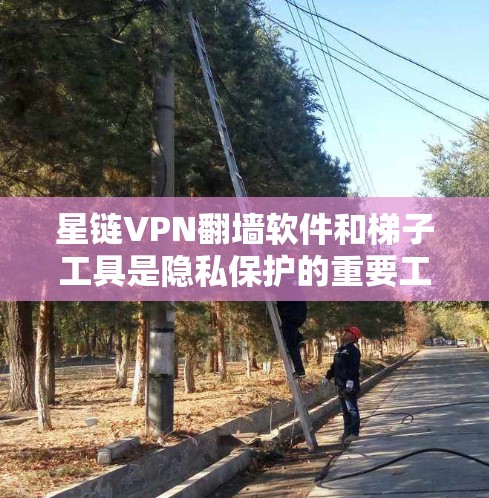 星链VPN翻墙软件和梯子工具是隐私保护的重要工具，以下是详细的建议和步骤，帮助您有效使用这些资源