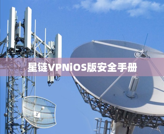 星链VPNiOS版安全手册