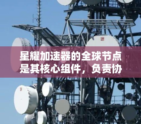 星耀加速器的全球节点是其核心组件，负责协调和优化星耀加速器的性能。以下是关于星耀加速器全球节点的详细说明