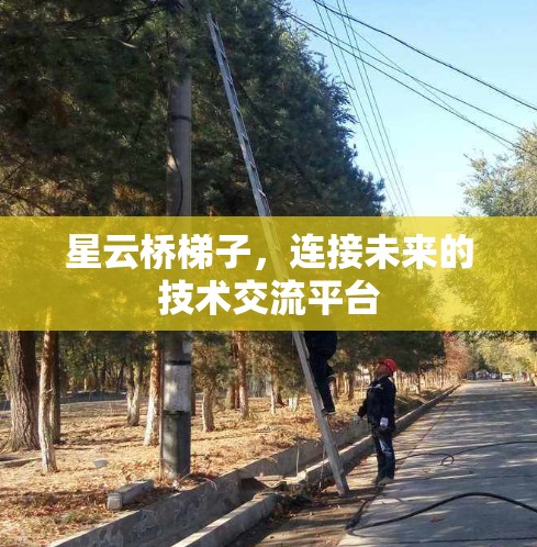 星云桥梯子，连接未来的技术交流平台