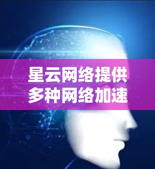 星云网络提供多种网络加速服务，包括星云网速和星云云网。以下是使用星云网络加速器的步骤指南