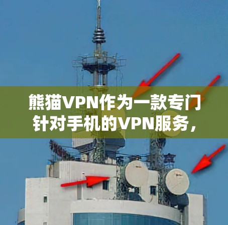 熊猫VPN作为一款专门针对手机的VPN服务，提供多种VPN选项，适合移动用户。以下是对熊猫VPN的详细分析和购买建议