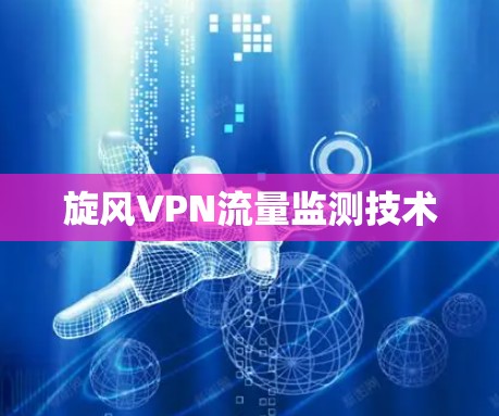 旋风VPN流量监测技术