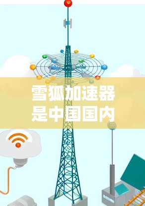 雪狐加速器是中国国内知名的一款物理加速器设备，主要用于加速粒子流的运动速度，广泛应用于粒子物理、核物理、量子计算等领域。关于雪狐加速器在国际市场的表现，以下是一些关键信息